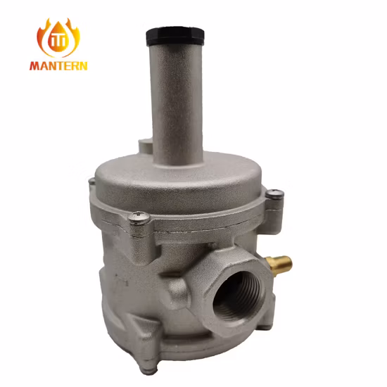 Régulateur de gaz naturel Régulateur de filtre à gaz (MTGFR01)